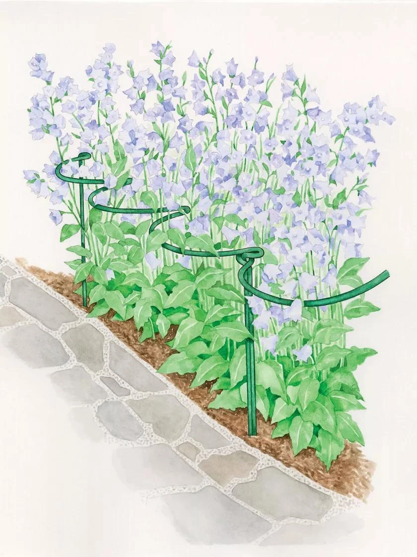 Tidy Path Supports - Image 3