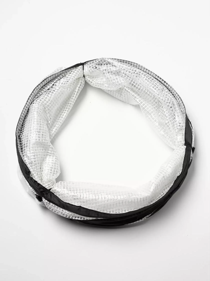 Pop-Up Tomato Accelerator - Image 3