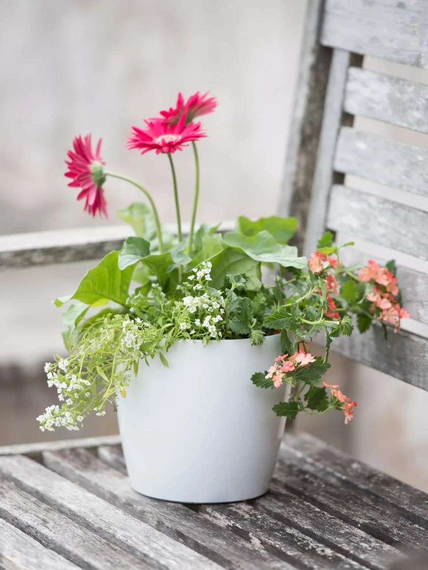 Viva Round Self-Watering Planter, 7" Diameter - Image 4