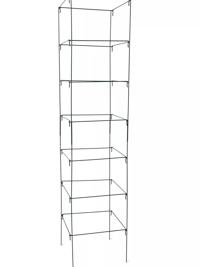 Mammoth Tomato Towers, Set Of 2 - Image 2