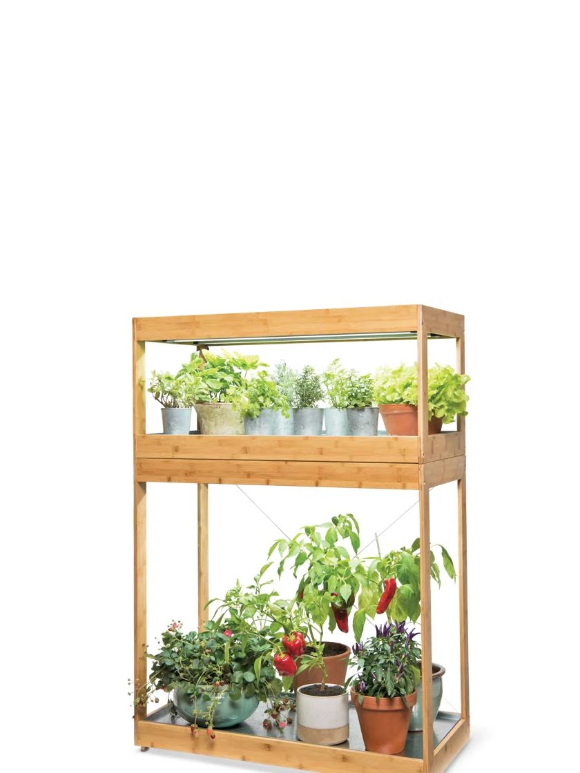 Bamboo Home LED Grow Light Garden - Image 8