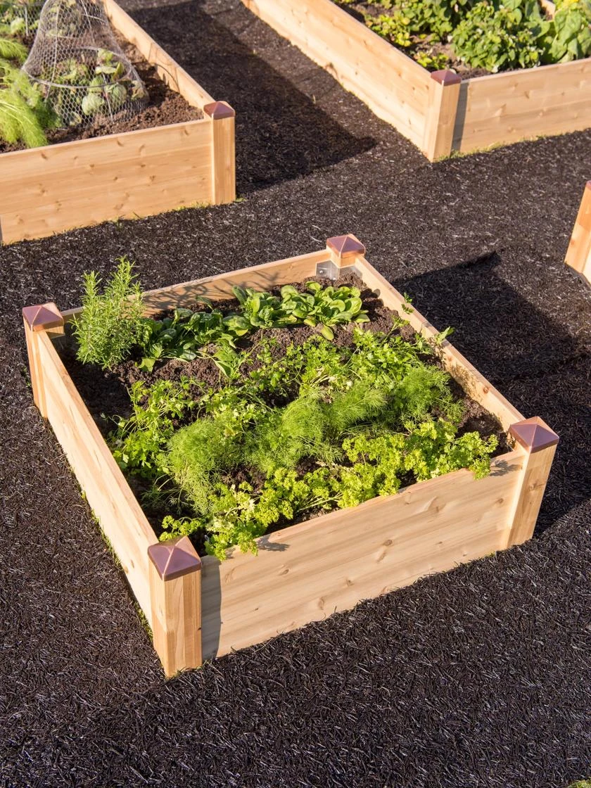 Copper Cap Raised Beds - Image 2