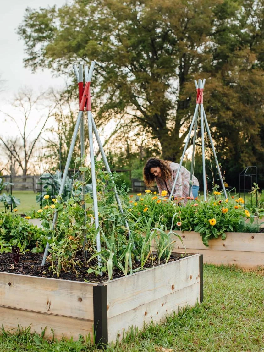DIY Connector For Teepee Trellis - Image 8