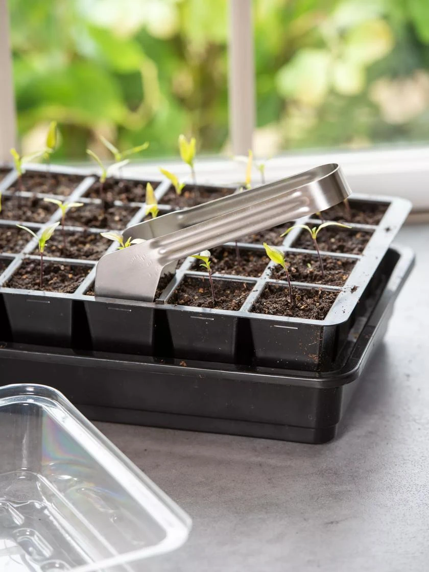 Seedling Transplant Tongs - Image 2